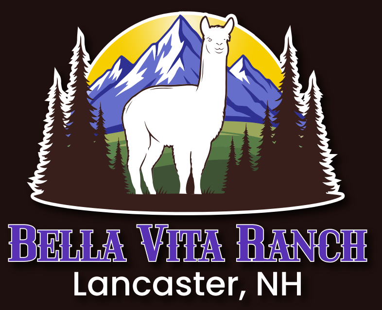 Bella Vita Ranch
